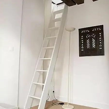 Charming Cosy Triplex In Trendy Marais